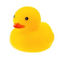 SQDUCK : Squeaky Toys - Duck (12 Pieces/Per Pack)