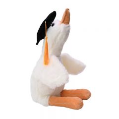 GRADUATION DUCK