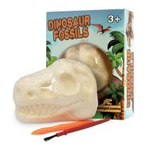 DINOSAUR FOSSIL STONE 12'S