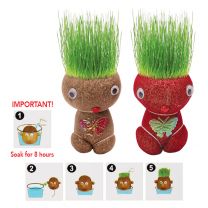 GROWING GRASS HEAD “M”
